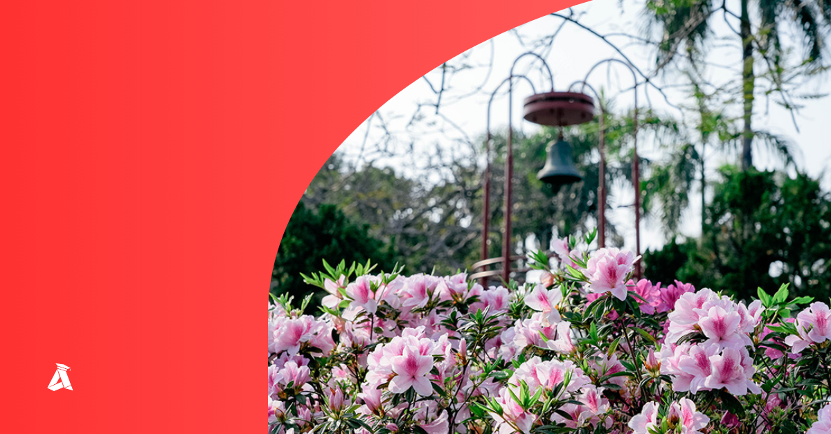 Campus Clubs and University Festivals: Building Community in Taiwanese Schools